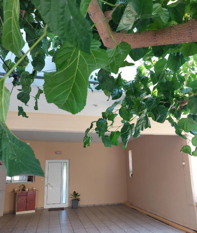 Argy Cozy Apartment خانيا المظهر الخارجي الصورة
